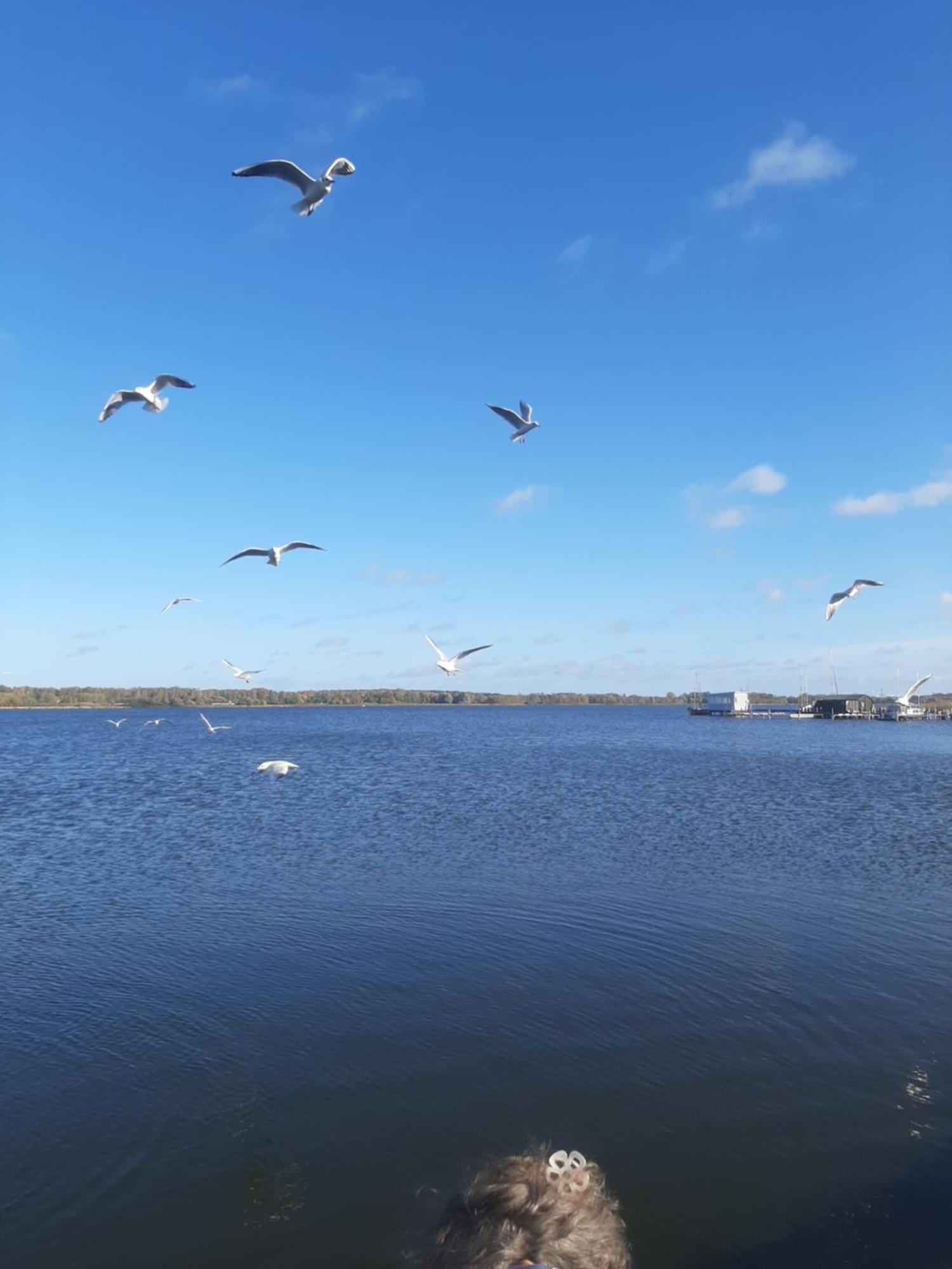 Hotel Perle am Bodden Ribnitz-Damgarten Buitenkant foto